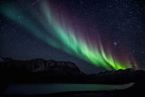 what is an aurorae
