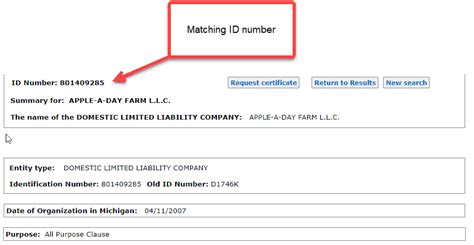 What Is An Entity Id Number