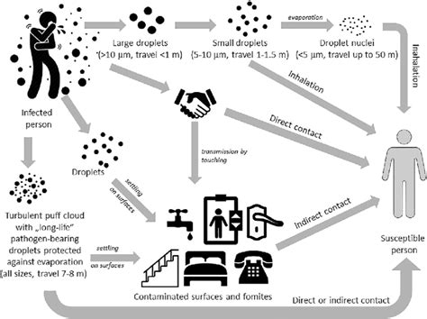 what is an example for indirect transmission of microorganisms