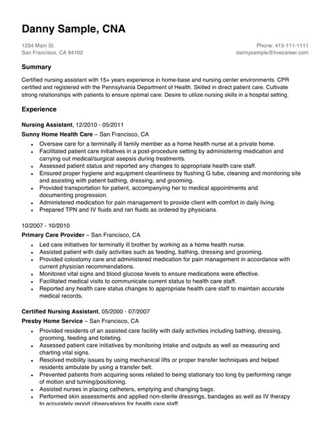 what is an example of a professional summary for a nanny