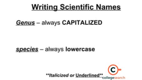 What Is An Example Of A Scientific Name