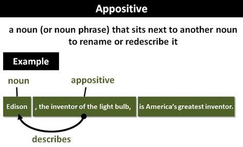 what is an example of an appositive