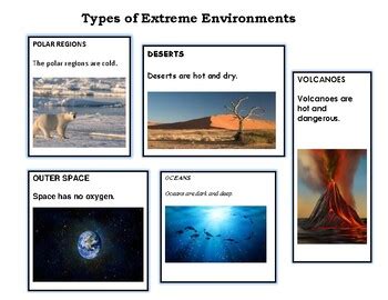 what is an example of an extreme environment