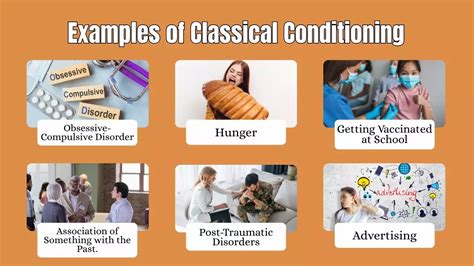 What Is An Example Of Classical Conditioning In Your Life