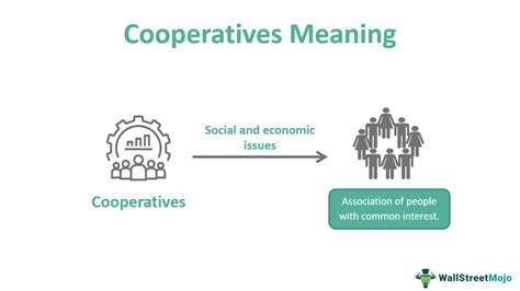 What Is An Example Of Cooperative