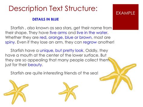what is an example of description text structure