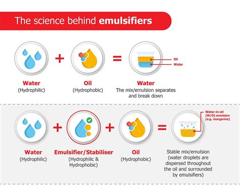 What Is An Example Of Emulsifier