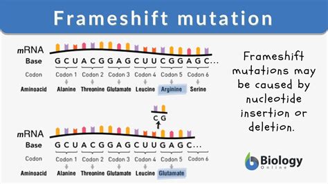 what is an example of frameshift mutation
