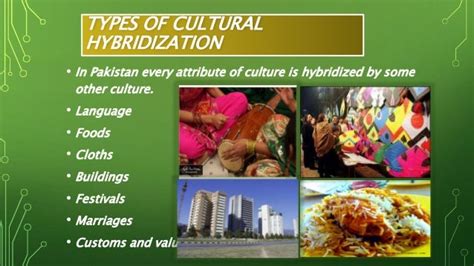 what is an example of hybridization in social studies