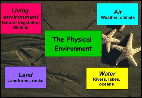 what is an example of physical environment