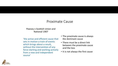 what is an example of proximate cause