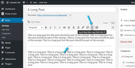 what is an excerpt in wordpress