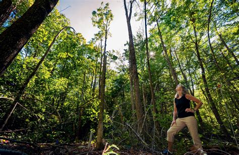 What Is An Experimental Forest