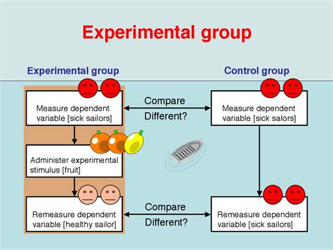 what is an experimental group in science simple definition