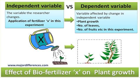 what is an independent variable vs dependent variable in science