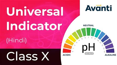 What Is An Indicator Class 10
