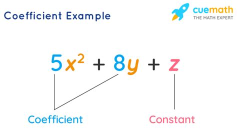 what is an integer coefficient in math