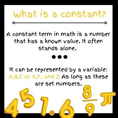 what is an integer constant in math