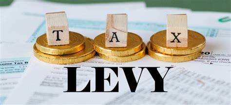 what is an irs levy
