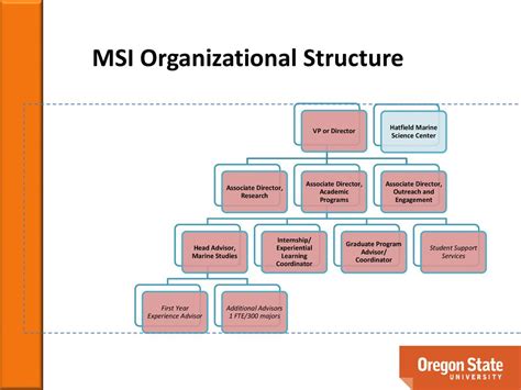 what is an msi organization