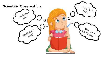 what is an observation in science example