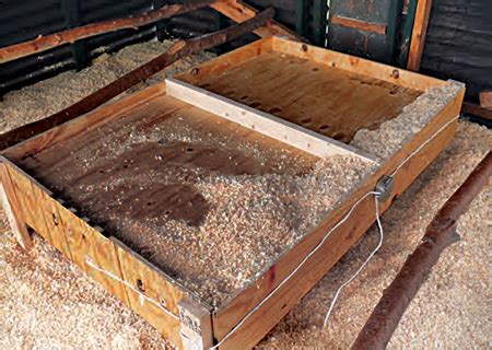 What Is An Ohio Brooder