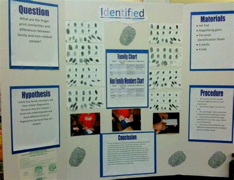 what is analysis in a science fair project
