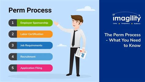 what is analyst review in perm processing