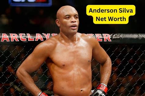 what is anderson silva net worth