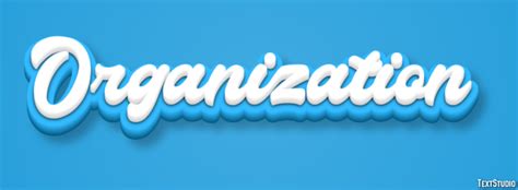 what is another name for organization