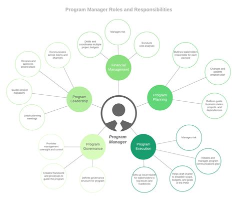 what is another name for program manager