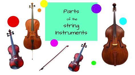 what is another name for string instruments