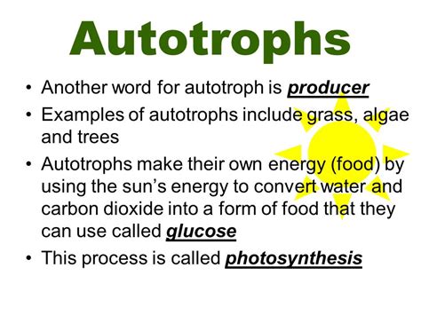 What is another word for Everyday? Everyday Synonyms, Antonyms and