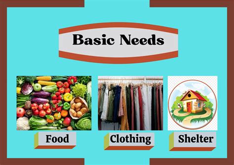what is another word for basic necessities