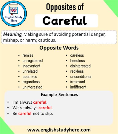 what is another word for careful study