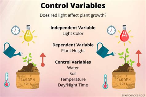 what is another word for control variable