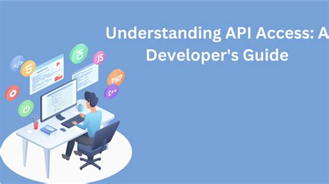 what is api access example