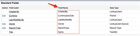 what is api name in salesforce