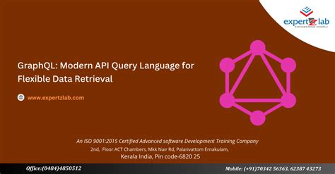 what is api query language