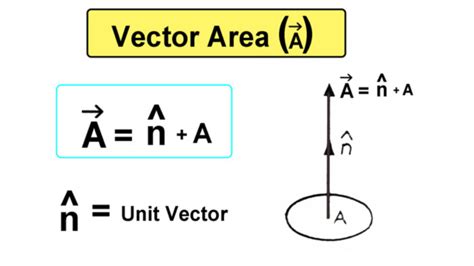 what is area vector in physics class 12