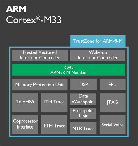 what is arm cortex processor