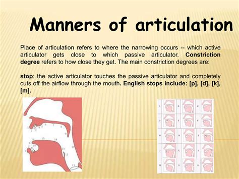 What Is Articulation Explain