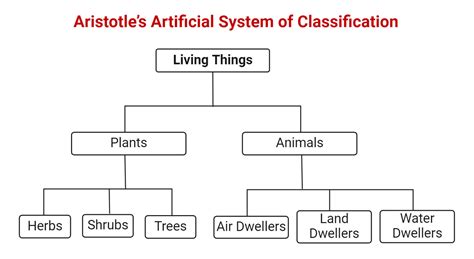 What Is Artificial Classification In Taxonomy