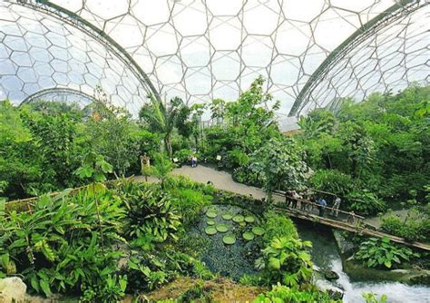 what is artificial ecosystem