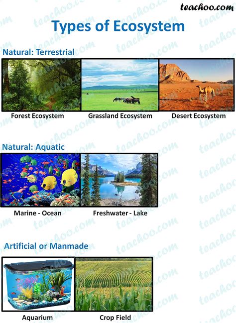 what is artificial ecosystem class 10