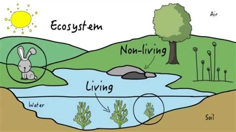 what is artificial ecosystem class 12