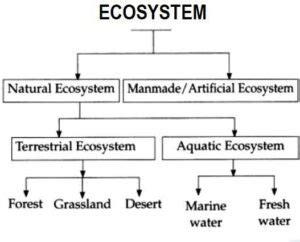 what is artificial ecosystem class 8