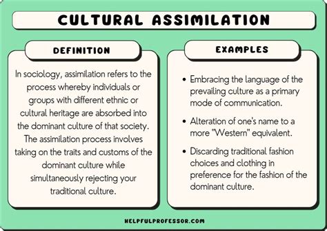 what is assimilation definition