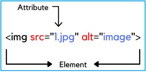 what is attribute and property in html