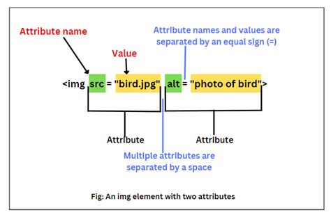 what is attribute and types in html